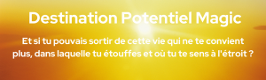 Coach holistique